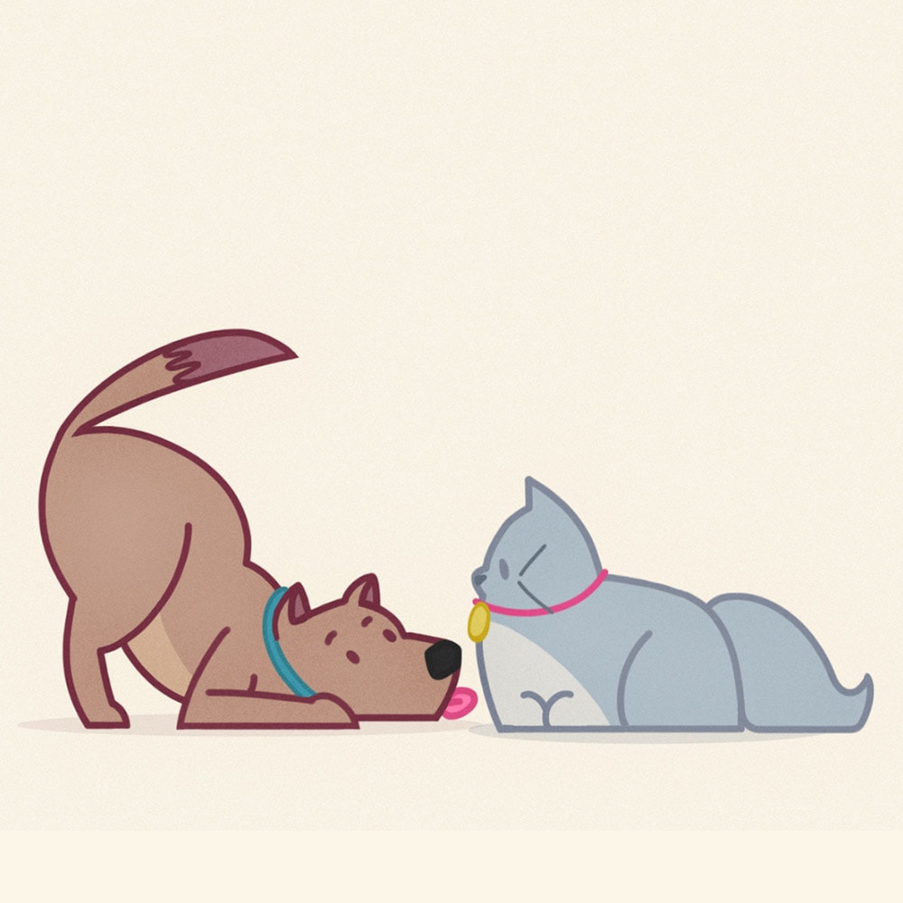 An illustrated cat and dog from a motion graphics explainer video