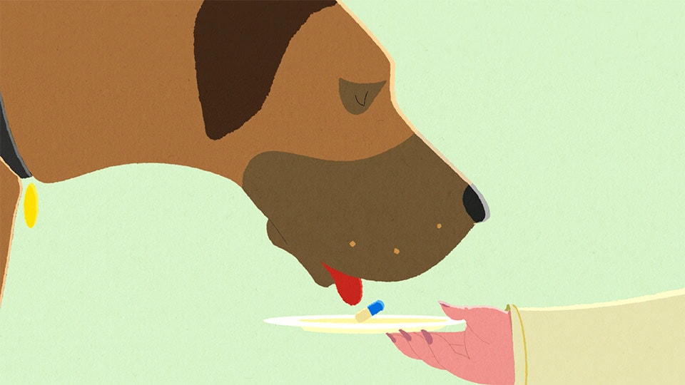 A illustration of a owner and dog in an animated commercial