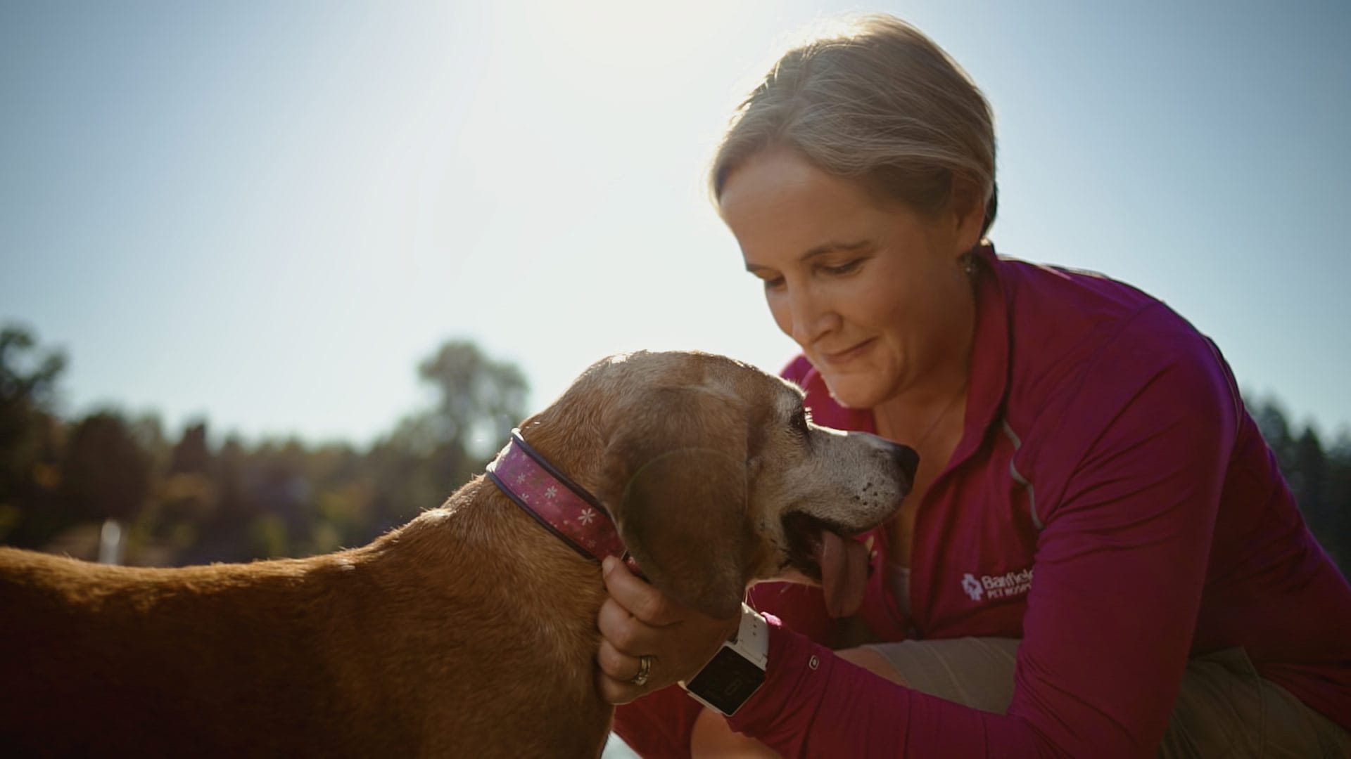 A vet and their dog in a branded documentary