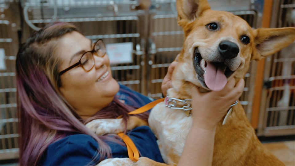 A vet and their dog in a branded documentary