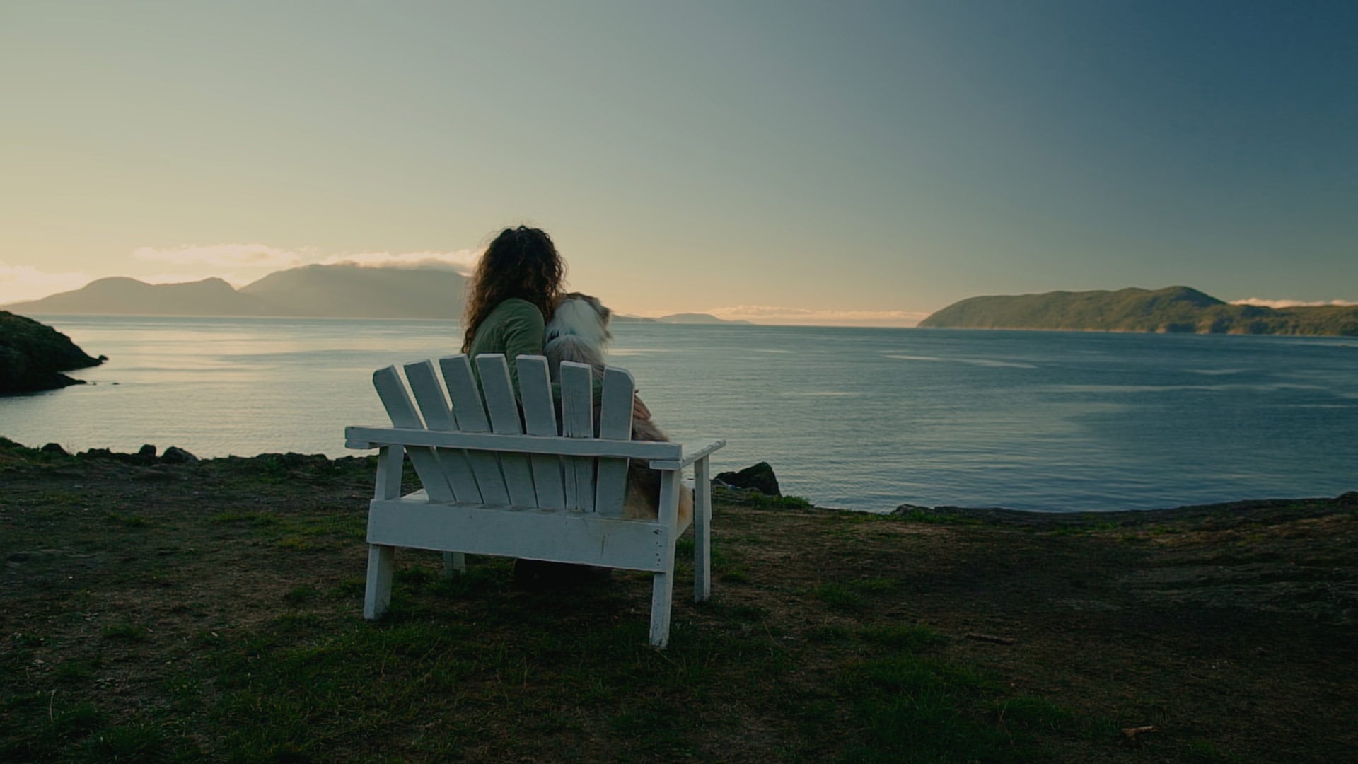 A scenic shot of a owner and their dog in a branded documentary