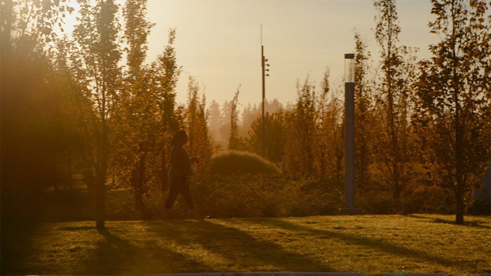 A shot of a scenic park in a branded documentary