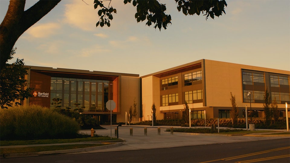 A shot of a company headquarters in a branded documentary