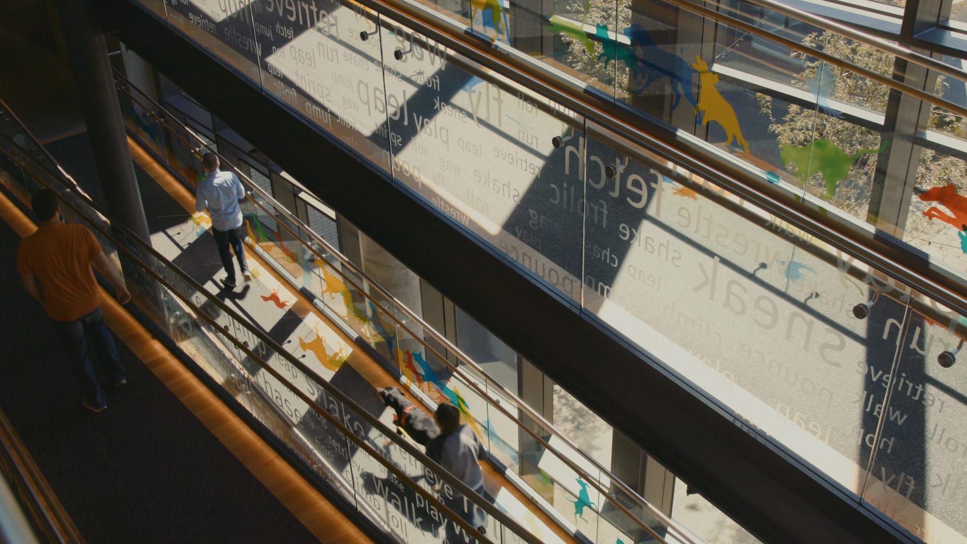 A shot of a company headquarters in a branded documentary